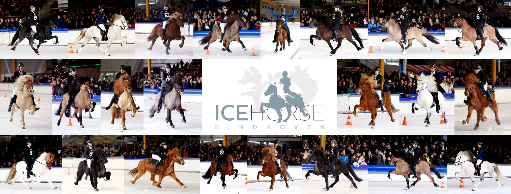 Horses on Ice